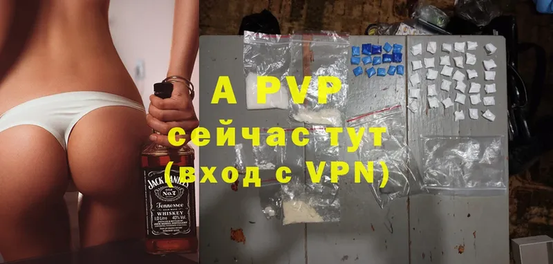 A PVP VHQ  Кадников 