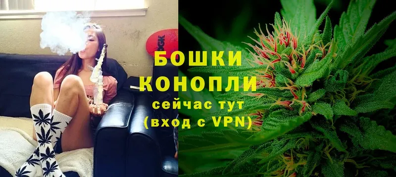 Конопля SATIVA & INDICA  Кадников 